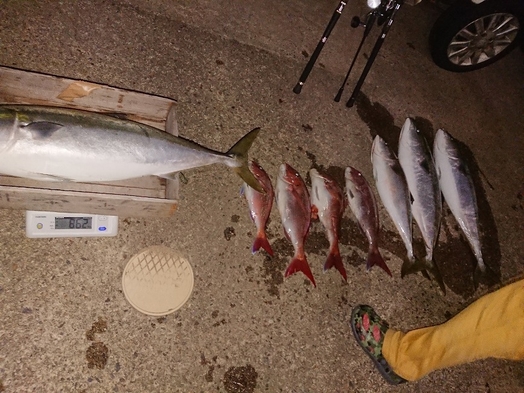 【海まで徒歩５分＆24時間天然温泉】☆泊まり+朝食付